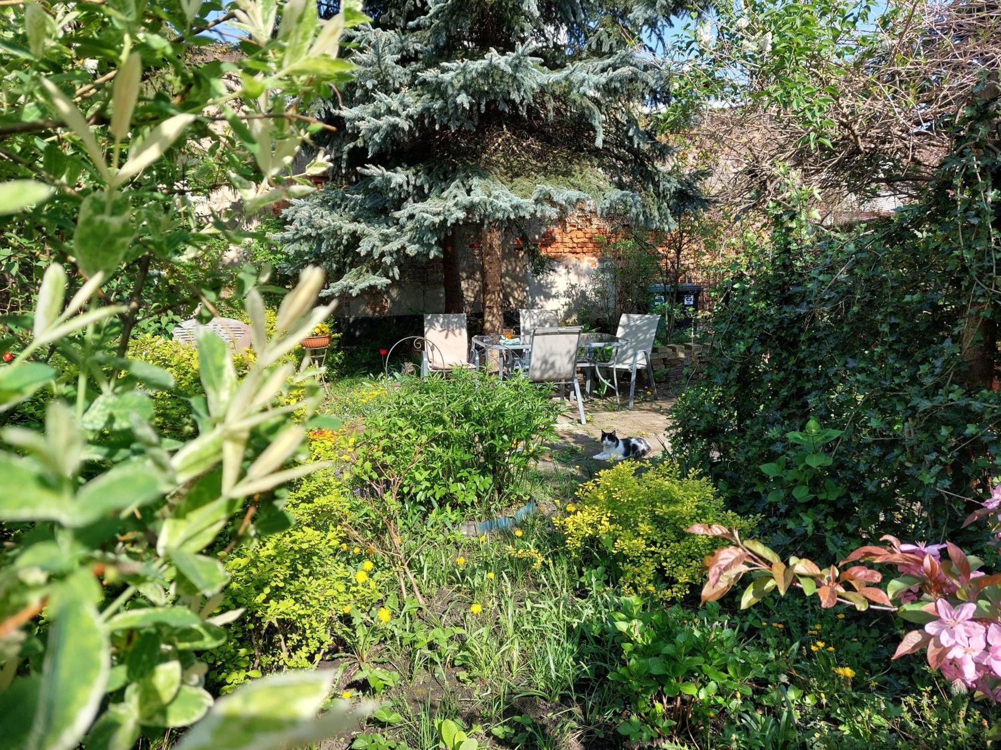 Apartament Rozana Przy Ice — Photos 2