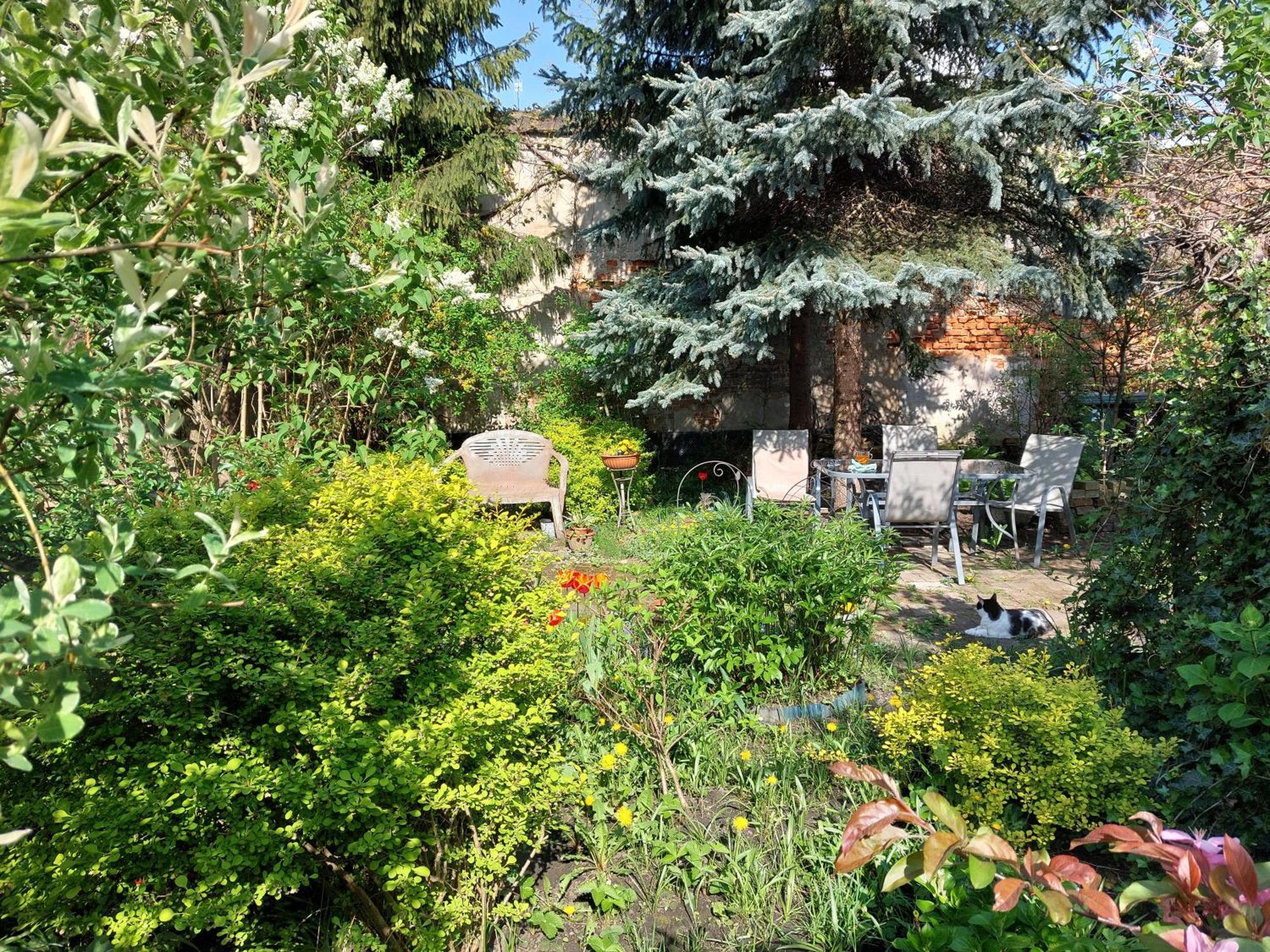 Apartament Rozana Przy Ice — Photos 3
